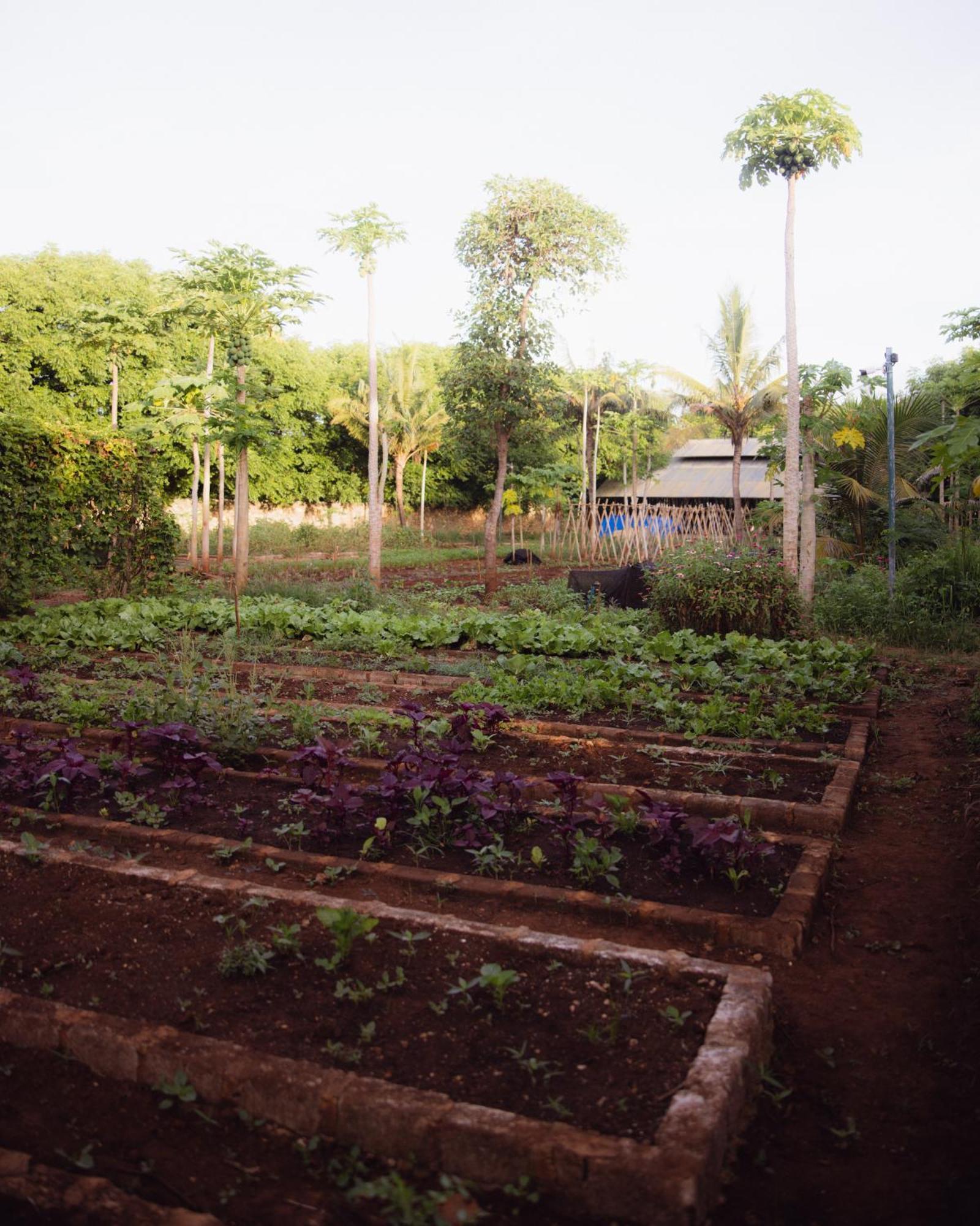 Maringi Sumba By The Sumba Hospitality Foundation Waikelo Exteriör bild